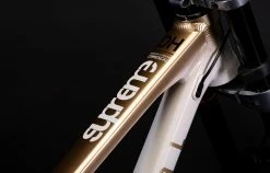 COMMENCAL SUPREME DH V5 GRADIENT GOLD -Sacoche vélo Magasin de vente 22SUPV5ALC4 04 2000